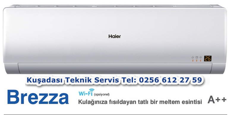 Kuşadası  Haier Klima Servisi